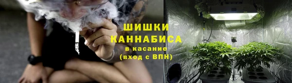 мдпв Волоколамск