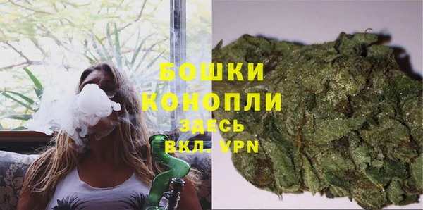 эйфоретик Гусиноозёрск