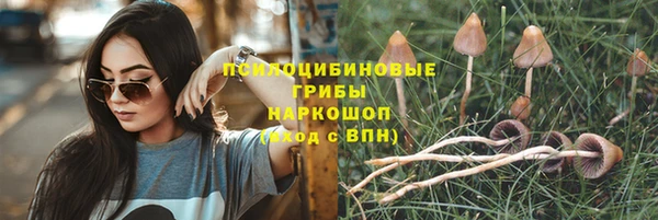спайс Вязьма