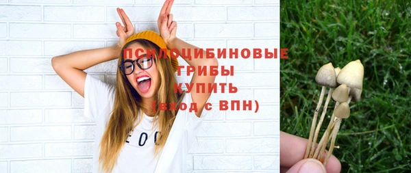 spice Горняк